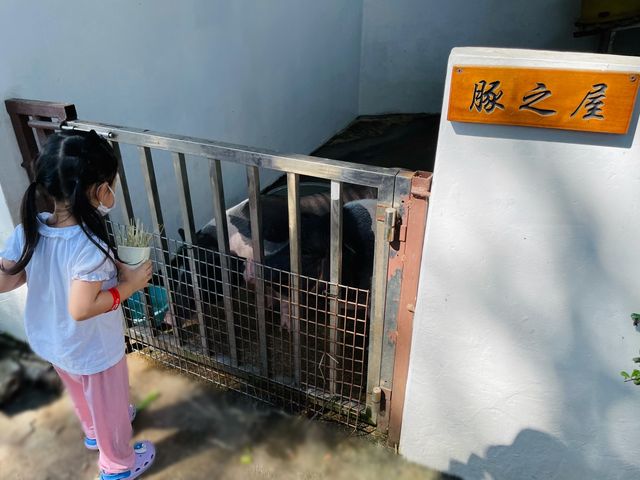 抓緊夏天的尾巴☀️農莊夏水禮