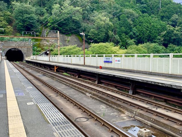【京都旅行】京都の秘境駅！？