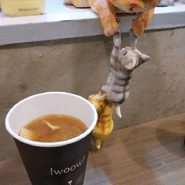 貓貓韓小店