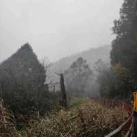 太平山森林遊樂園區