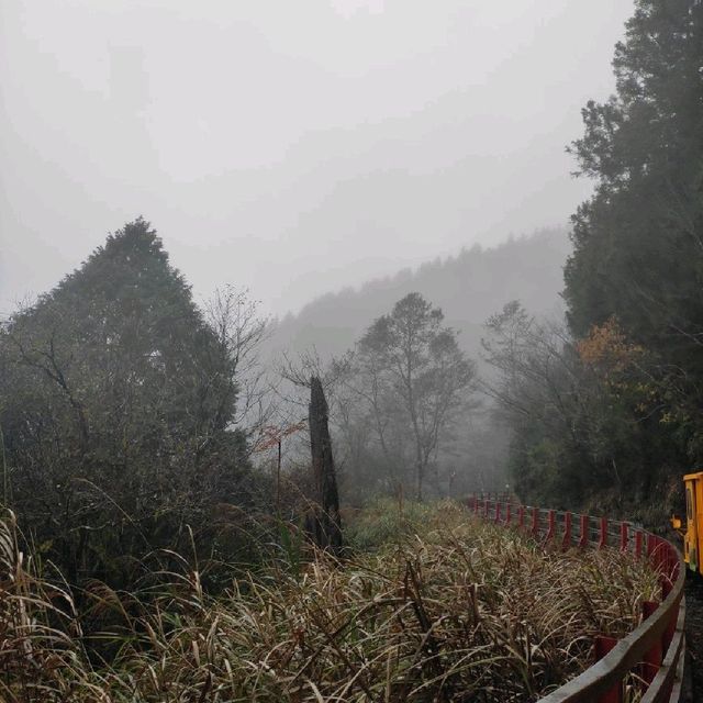 太平山森林遊樂園區