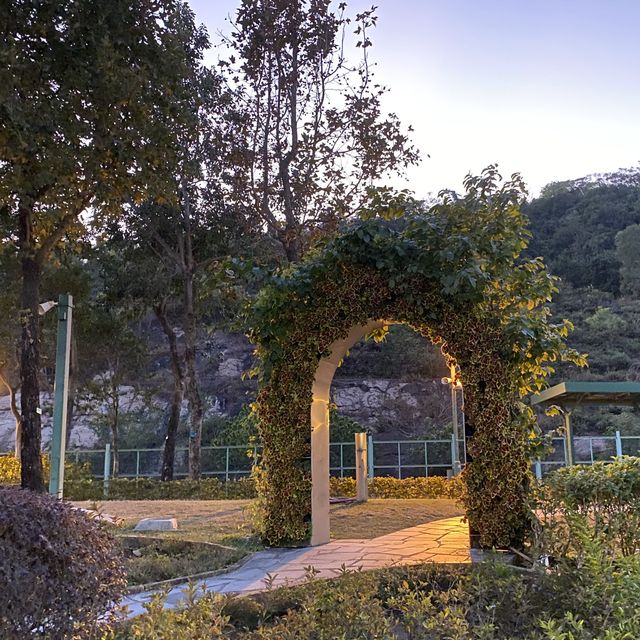 佐敦谷公園~野餐勝地