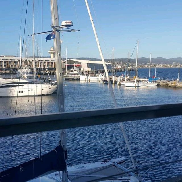 近距離看海👀🌊塔斯曼尼亞的荷伯特海港