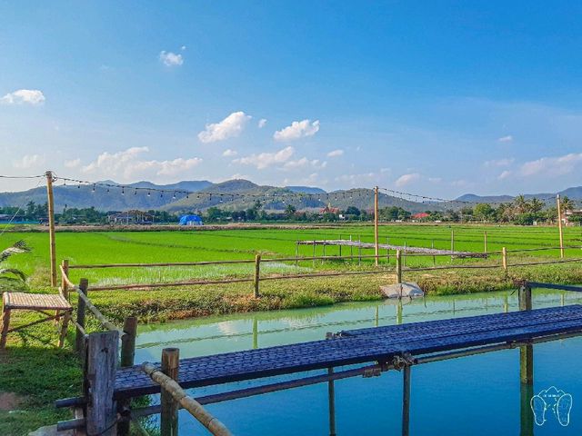 🌳 บ้านสวนอินทนนท์ ร้านอาหารและคาเฟ่ 🌳