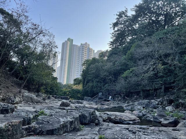 香港仔下水塘秘景《石澗》