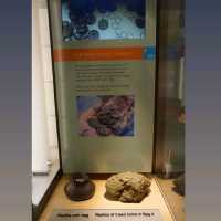 Roman Belongings