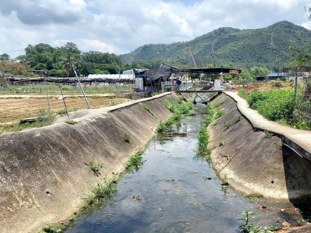 信芯園日式打卡位