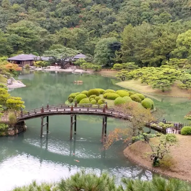 日式庭園美景🌳🌳🌳