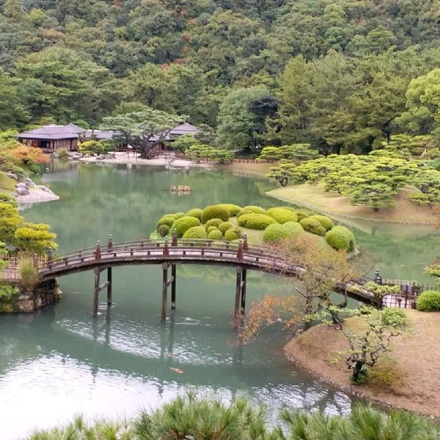 日式庭園美景🌳🌳🌳
