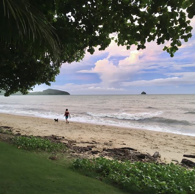 호주 퀸즐랜드 야자수 해변, 팜코브🏝의 선셋✨