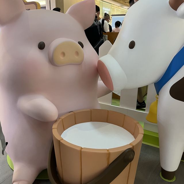 夏日·動物 · Lu Lu 豬🐷🫶🏻