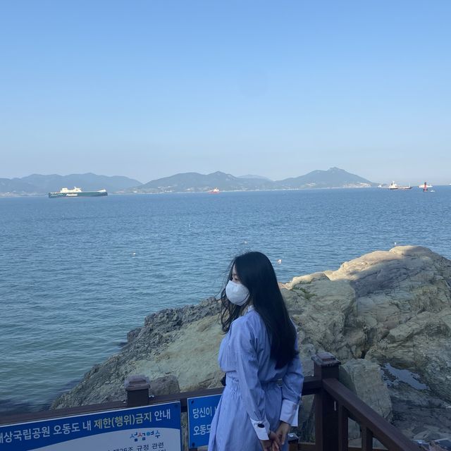 동백이 피지 않는 계절에도 여전히 이쁜, 오동도🌺