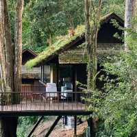 Vanilla Hill บ้านพักสวยท่ามกลางหุบเขา