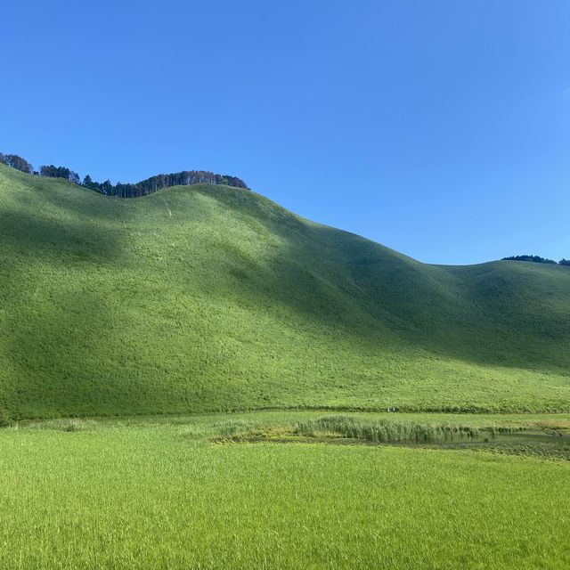 奈良 / 曽爾高原