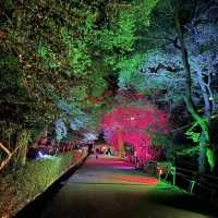 丸亀市　亀山公園のライトアップ