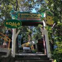 🦩🦘 Chiang Mai Zoo 🦥 🐘