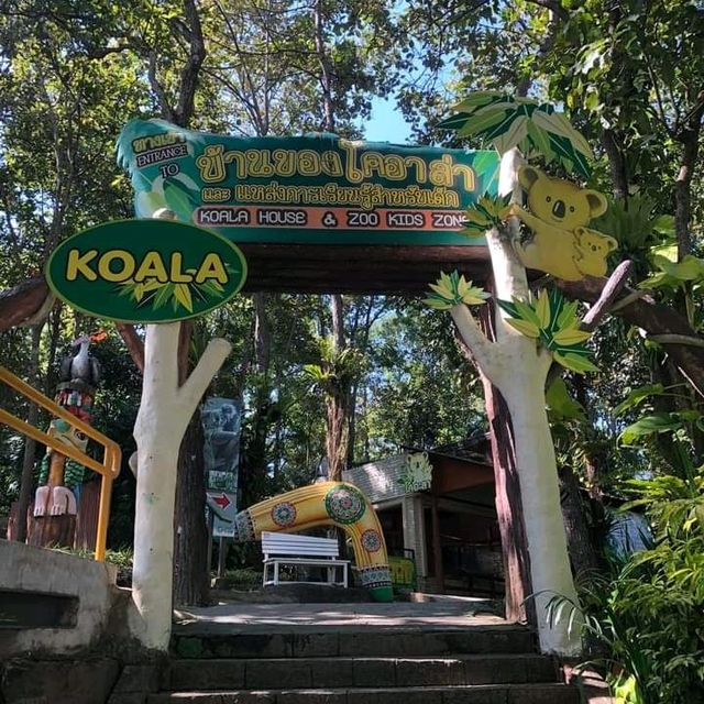 🦩🦘 Chiang Mai Zoo 🦥 🐘