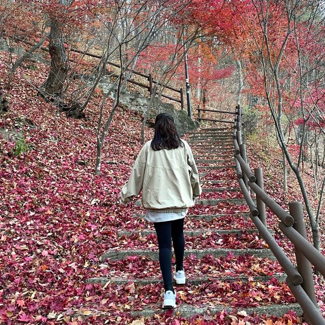 어느새 늦어버린 가을, 철암단풍명소 방문