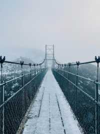 Wonderful Sight!