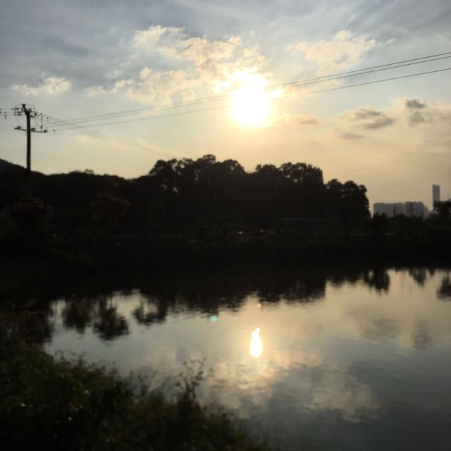 上水馬草壟南屋仔一天遊