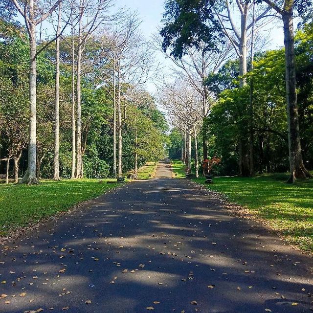 The Purwodadi Botanical Garden