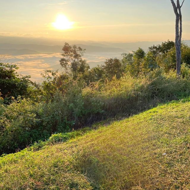 ⛰️⭐️นอนดูดาว ที่พรั่งพราวบนฟ้า☀️💫