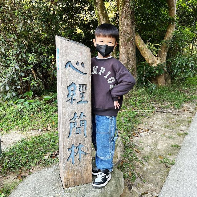一家大細好去處大家一齊坐下纜車欣賞優美景色