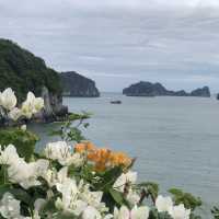 the most beautiful beach in Cat Ba 