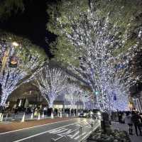 東京- 六本木聖誕氣氛濃厚