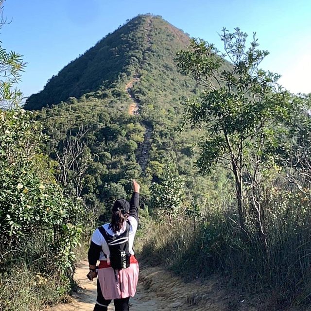 Needle hill and stunning view of Shing mun water reservoir 