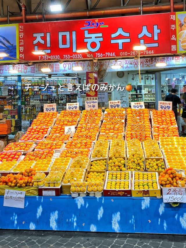 【済州島】活気と熱気がすごい‼️済州の人々のくらしと韓国を感じる市場🇰🇷