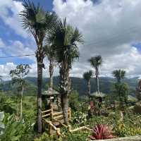 Sirao Garden Cebu City Philippines 