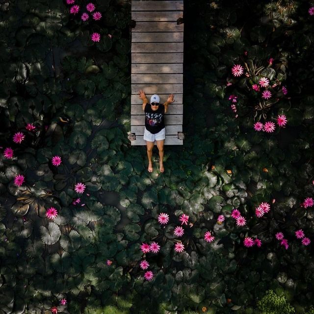Treehouse Villas ติดเกาะหรูบนบ้านต้นไม้