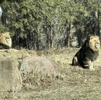 動物多過旅客的公園