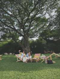 คาเฟ่สไตล์สวน Mulberry Mellow กาญจนบุรี