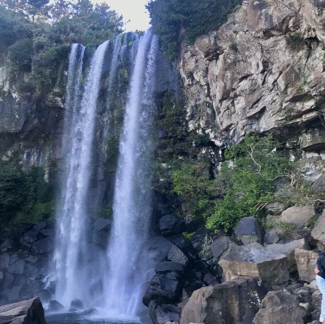 [제주도] 가을여행은 제주도 천지연 폭포 어떠세요?