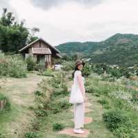 Mori Nature Farm โมริ เนเชอรัลฟาร์ม 