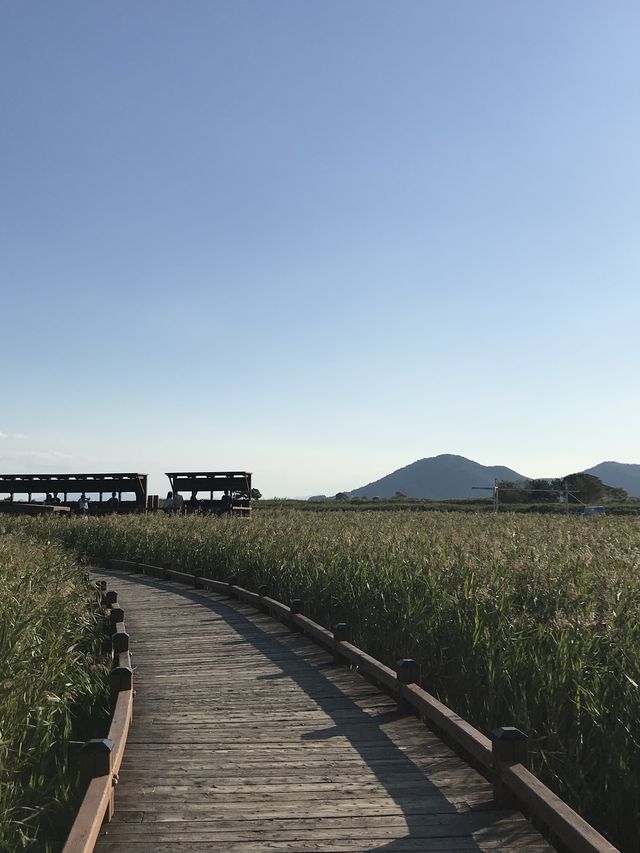 노을맛집 🌅 갈대맛집 🌾추천