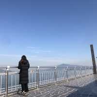 [여수 핫플] 아름다운 섬_오동도