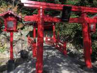 【大分】海地獄が見える！白龍稲荷大神⛩