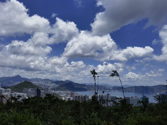 龍脊