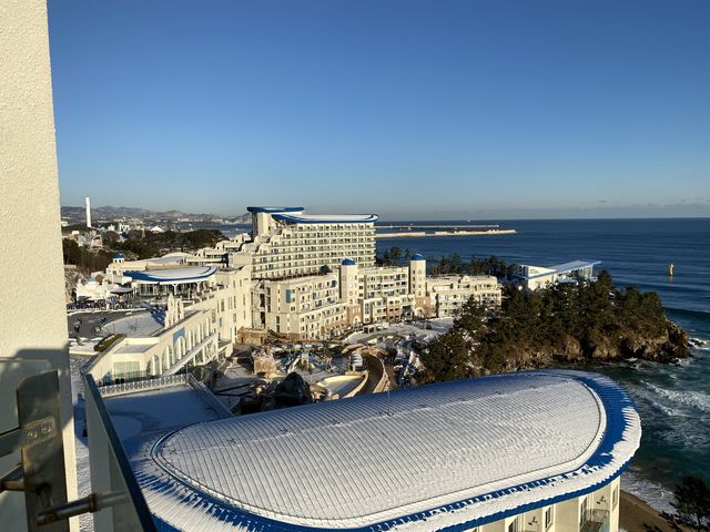 삼척ㅣ모든 방에서 바다가 보이는 동해 바다뷰 맛집, 삼척 쏠비치 🌊