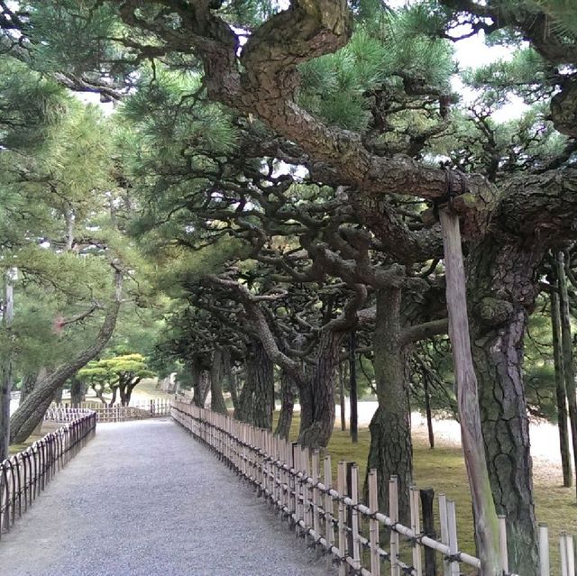 [高松市]松平家ゆかりの庭園✨日本三大名園を超える！？😆「栗林公園」