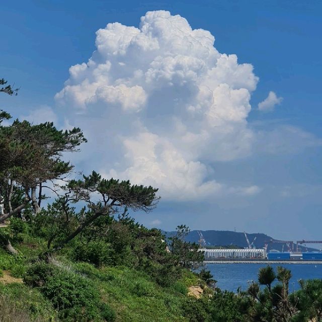신상 여행명소 <울산 대왕암 흔들다리>