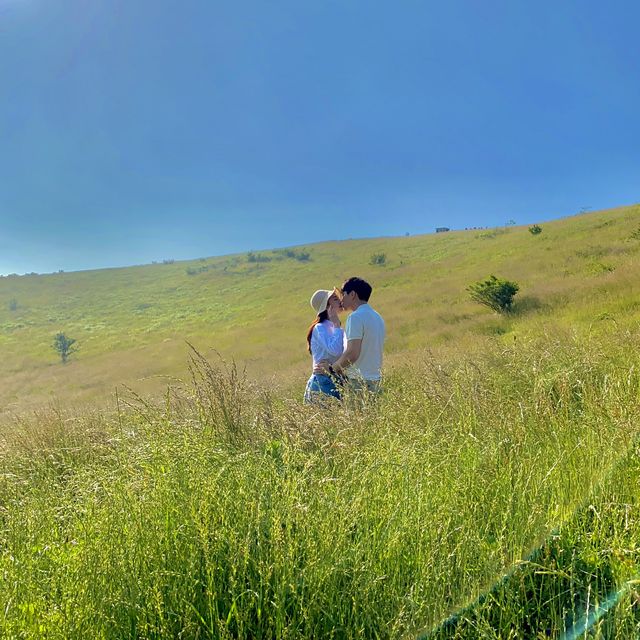 제주 서쪽, 포토존 가득한 금오름🌳