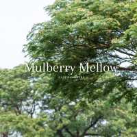 Mulberry Mellow 🌳