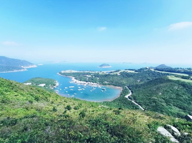 上洋山