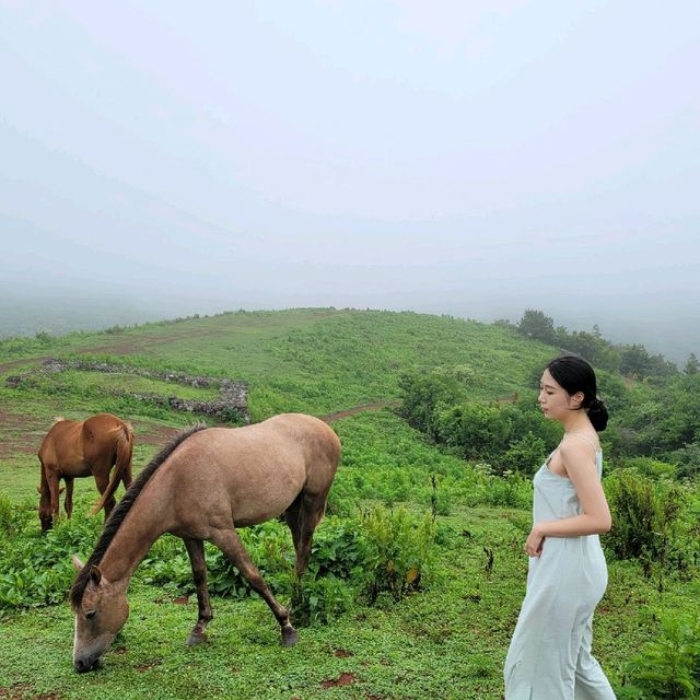 제주 문도지오름 말과 인생샷 찍을 수 있는곳 🐎