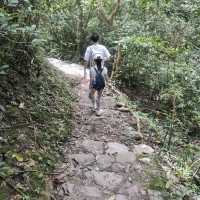 親子行山好去處👣 烏絞騰->三亞村->荔枝窩