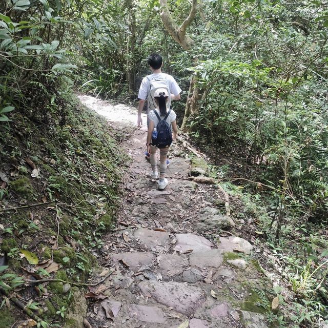 親子行山好去處👣 烏絞騰->三亞村->荔枝窩